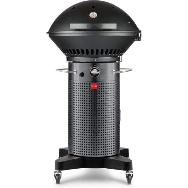 Fuego Professional 24-Inch 2-Burner Natural Gas Grill - Carbon Steel (Ships As Propane With Conversion Fittings) - F24C